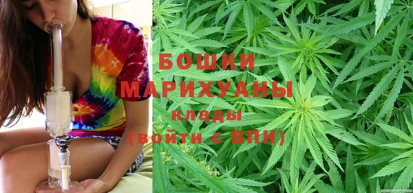 гидра Белоозёрский