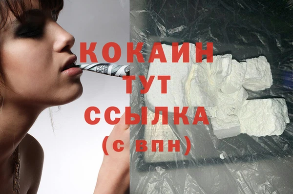 гидра Белоозёрский